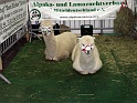 Heimtiermesse 2009   093